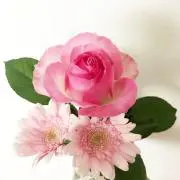 Image of yun⭐︎同梱発送はお値下げ可