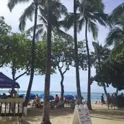 T.I（プロフィール必読です）の画像