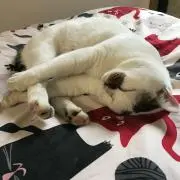 かんちゃん