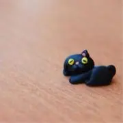 ⚪︎の画像