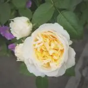 R*R
