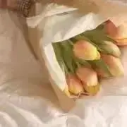 たまごの画像