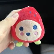 しろもちの画像
