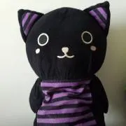 くろねこきばじの画像