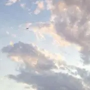 h.hの画像