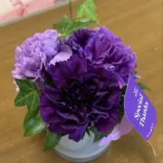 naoの画像