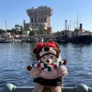 チョコりゅうの画像