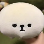 さくらの画像