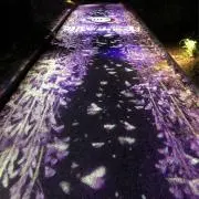 にこちゃん⭐︎プロフ必須⭐︎の画像