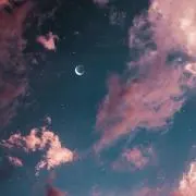 あの画像