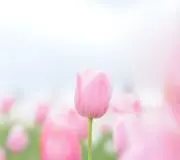 mamanの画像