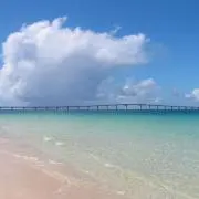 いんぱくとワン
