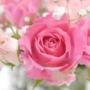 ゆき