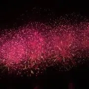 すず