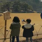 てる