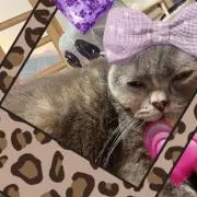 らぶすけ