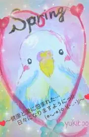ようちんの画像