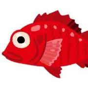 赤魚