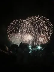 ツーイの画像