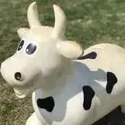 Hige父ちゃんの画像