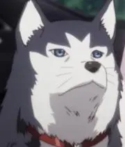 ストレルカ
