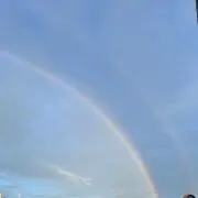 もちもちの画像