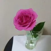 りりあんの画像