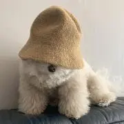 aの画像
