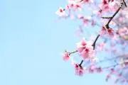 あい