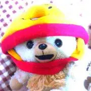 とらのあねきの画像