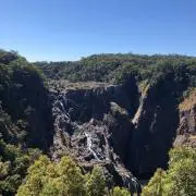 甘海老の画像