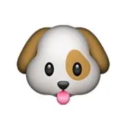 ねねの画像