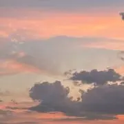 sakuの画像