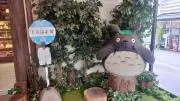 トトロ✨️の画像