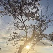 ゆーー◈詳しくはプロフへの画像