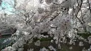 けいすけの画像