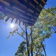 lyeumzounの画像