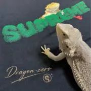 Dragon-zeroの画像