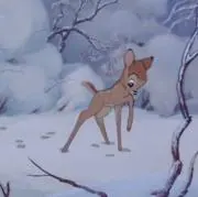 えまの画像