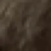 …