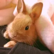 ＊＊あいる＊＊の画像