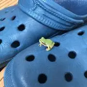 ブンブンブンの画像