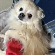 けいすけの画像