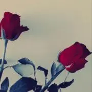 m.tmk