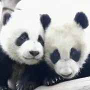 ちゅちゅ