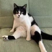 のん(*´︶`*)【プロフィール変更有りの画像
