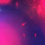 くりおねの画像