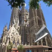 ワッパの画像