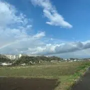 Rくんの画像