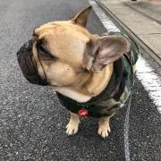 はるママ